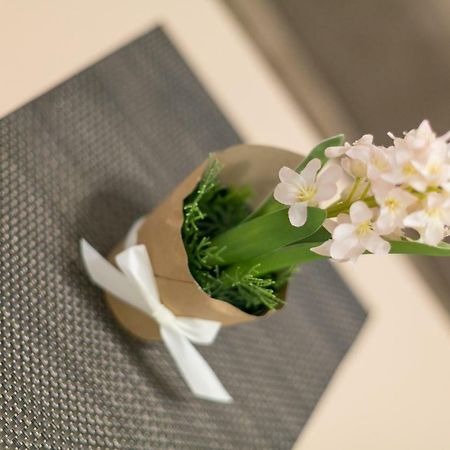 Apartment Dositejeva 13 Belgrád Kültér fotó